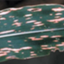 Bipolaris maydis ATCC 48331