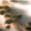 Chaetomium globosum CBS 148.51