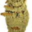 Metarhizium anisopliae ARSEF 549